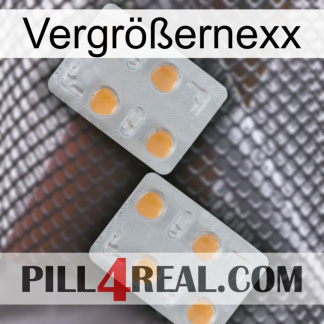 Vergrößernexx 25